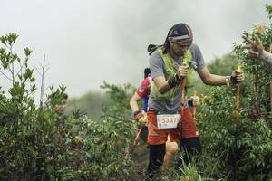 BIB: 5337
                            <button type="button" onclick="openModal(24740918)" class="btn btn-primary btn-sm float-right btn-popup" data-toggle="modal" data-target=".modal-high-quality">
                        <i class="fas fa-shopping-cart"></i> Add to Cart
                    </button>
                                            <button type="button" onclick="isThisMe(24740918, true)" class="btn btn-success btn-sm float-right btn-popup btn-isme hidden" data-toggle="tooltip" data-placement="bottom" title="นี่คือรูปของคุณใช่ไหม คลิกที่นี่เพื่อเอาเข้าอัลบั้ม">
                        <i class="fas fa-plus"></i> Add to album
                    </button>
                    <button type="button" onclick="isThisMe(24740918, false)" class="btn btn-warning btn-sm float-right btn-popup btn-isnotme hidden">
                        <i class="fas fa-ban"></i> Remove from album
                    </button>